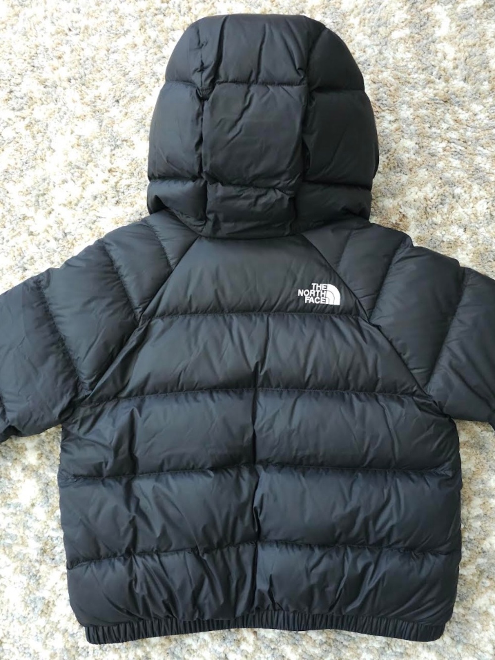 The North Face Hydrenalite Hooded Jacket NWT - Picture 2 of 4